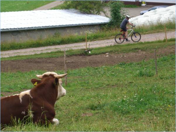 Bike Tour06